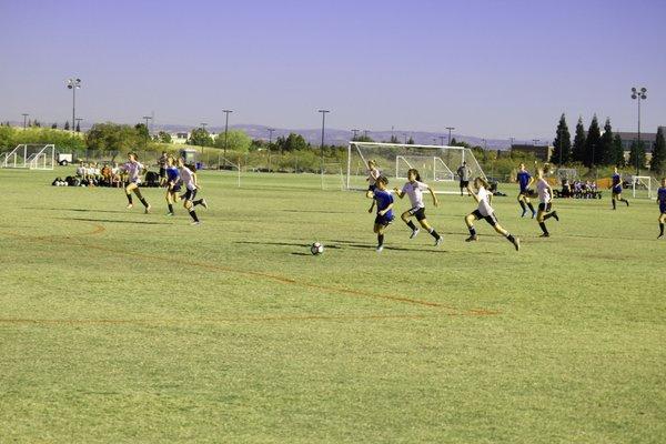 Blues FC - Girls "05" Navy