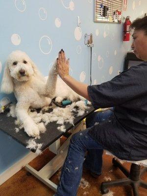 Rosanne with "Luna" the Labradoo