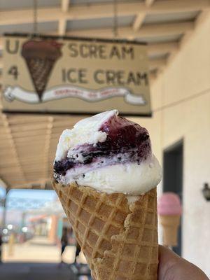 Blueberry Cheesecake ice cream