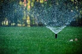 A-1 Sprinkler and Landscape of North Texas