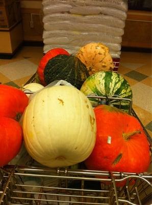 Gourds 2 for $4.00