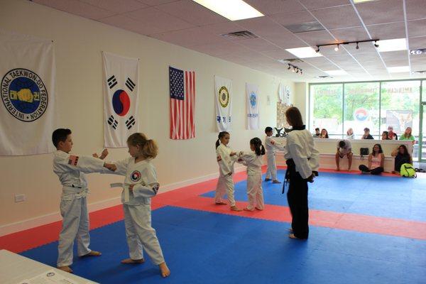 American Taekwondo Academy