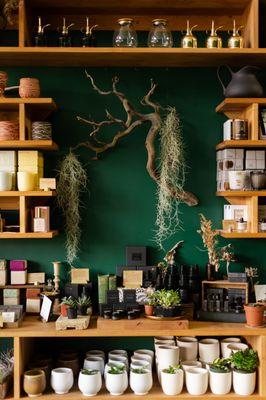 A recent shop of one of our apothecary corners.