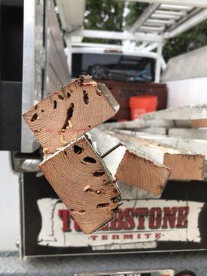 Example of drywood termite galleries and damage