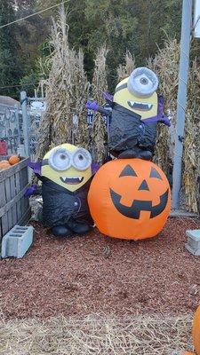 Minions