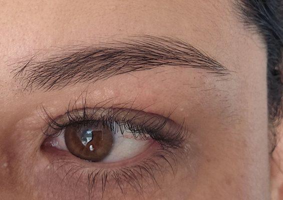 Bad lash lift