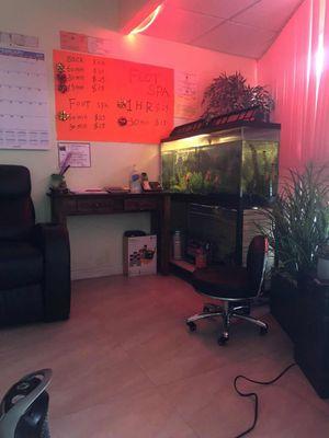 Interior view with fish tank