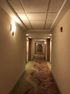 Corridor to rooms