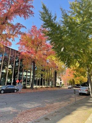 Located to the right under the yellow trees