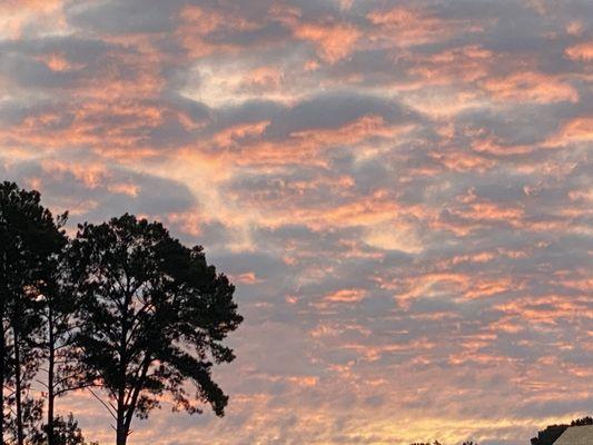 Sunset over the park