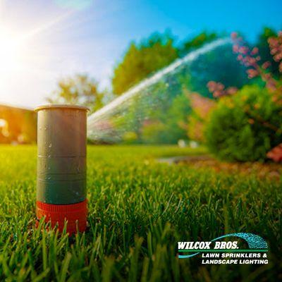 Wilcox Bros Lawn Sprinklers