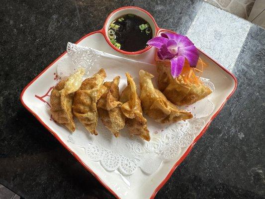 Gyoza fried