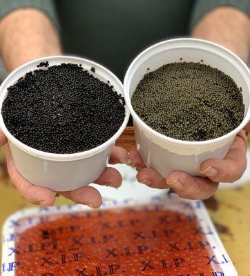 2 different kinds of black (sturgeon) caviar and red caviar on the background