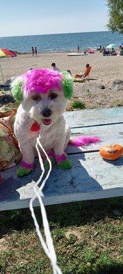 Angel at the beach