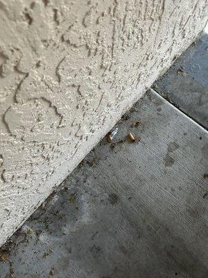 Cigarette buds trash!!!!