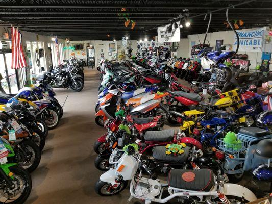 Tropical Scooters' showroom