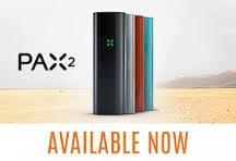 Pax2 Pax 2