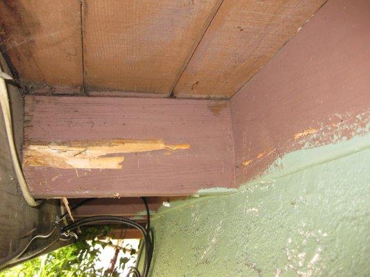 Drywood Termite damage to fascia