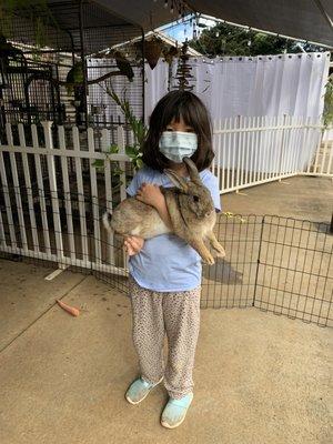 She always want to have a rabbit as a pet