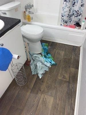 Flooded bathroom