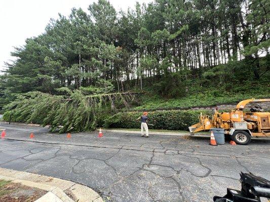 Checking out the damage.