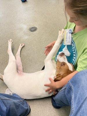 Dog and child at OKCAW