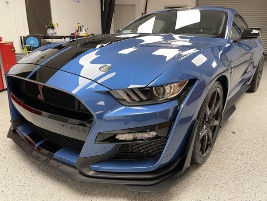 Ford Shelby GT 500 fully PROTECTED! Xpel Paint Protection Film and Ceramic Coating. See our work on IG: @dtautospa or FB: DTautospaFremont.