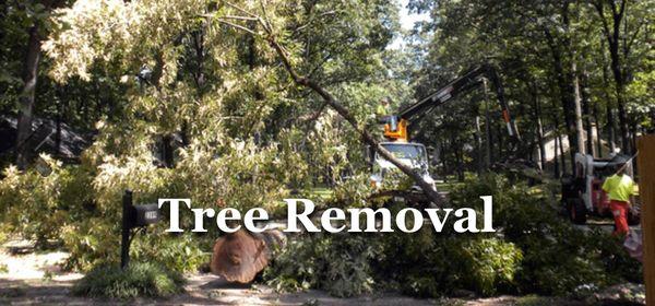 Michael's Tree & Loader Service