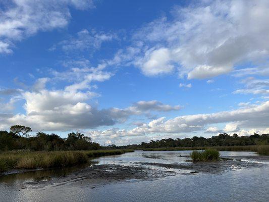 Bayou Tour