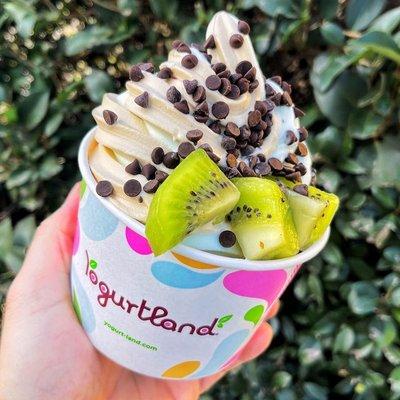 Custom Frozen Yogurt Creation - Fruit and Chocolate Chips