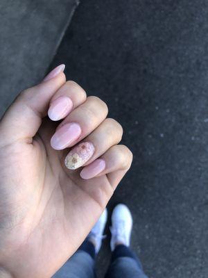 dried flowers, acrylic nails