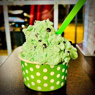 Mint Chocolate Chip Gelato