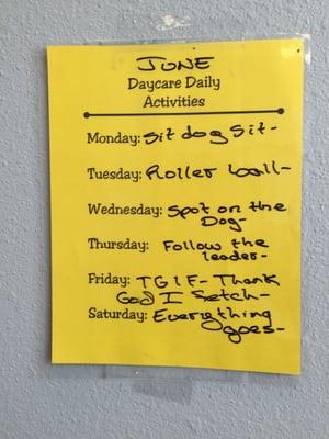 Schedule of doggie activities for the week