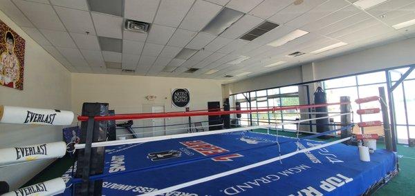 22' x 22' professional size boxing ring