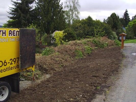 BEFORE - Huge pile of yard waste and brush to load up and haul away