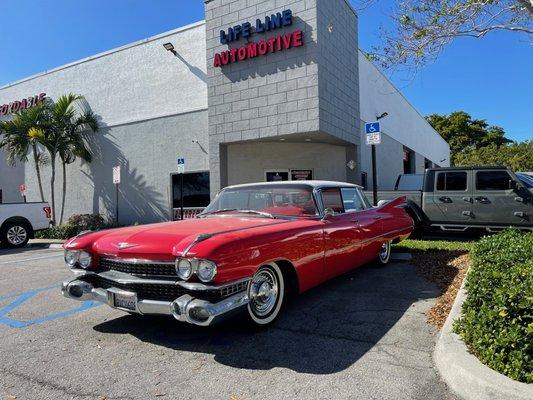 Life Line Automotive Fla