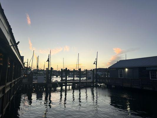 View of the ships