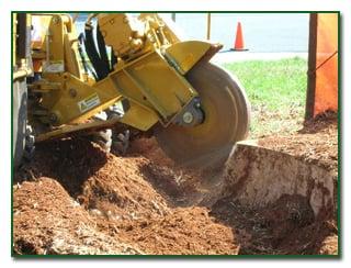 Stump Grinding Service