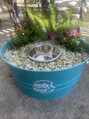 Cute water bowls for the doggies