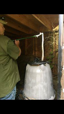 Snake removed from a pool pump house in Rome, GA