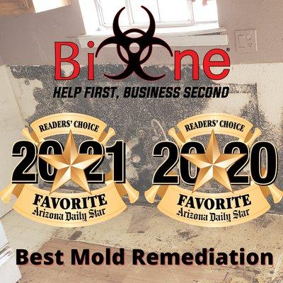 Voted FAVORITE for Best Mold Remediation 2 years in a row!