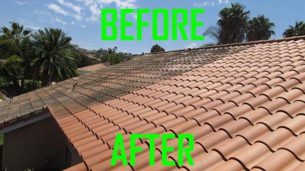 Quality Roof Cleaning