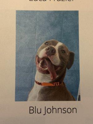 Yearbook photo from PetSuites