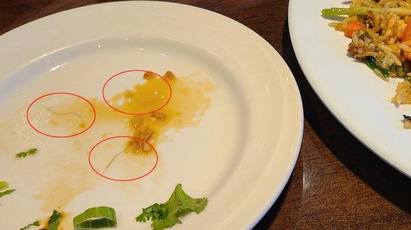 3 hairs in my food