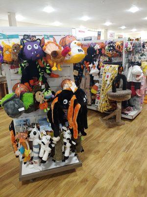 Halloween and Thanksgiving toys for pets