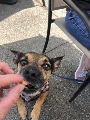 Mr Diego enjoying his hotdog!