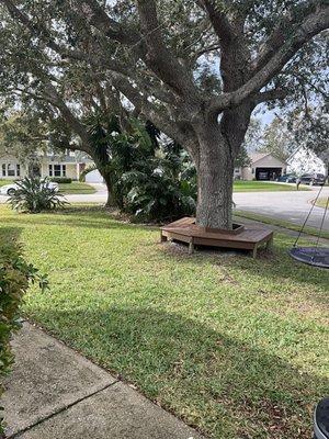 Even on the coldest of days, the lawn is among the healthiest looking lawns in the neighborhood.