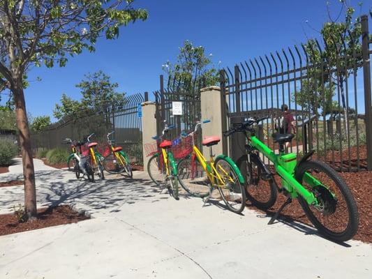 At google park