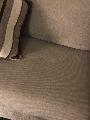 Stain on couch