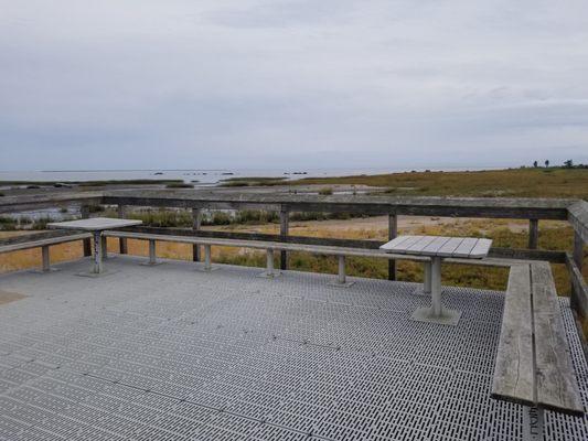 Platform overlooking the salt marsh on the Willard Island nature trail